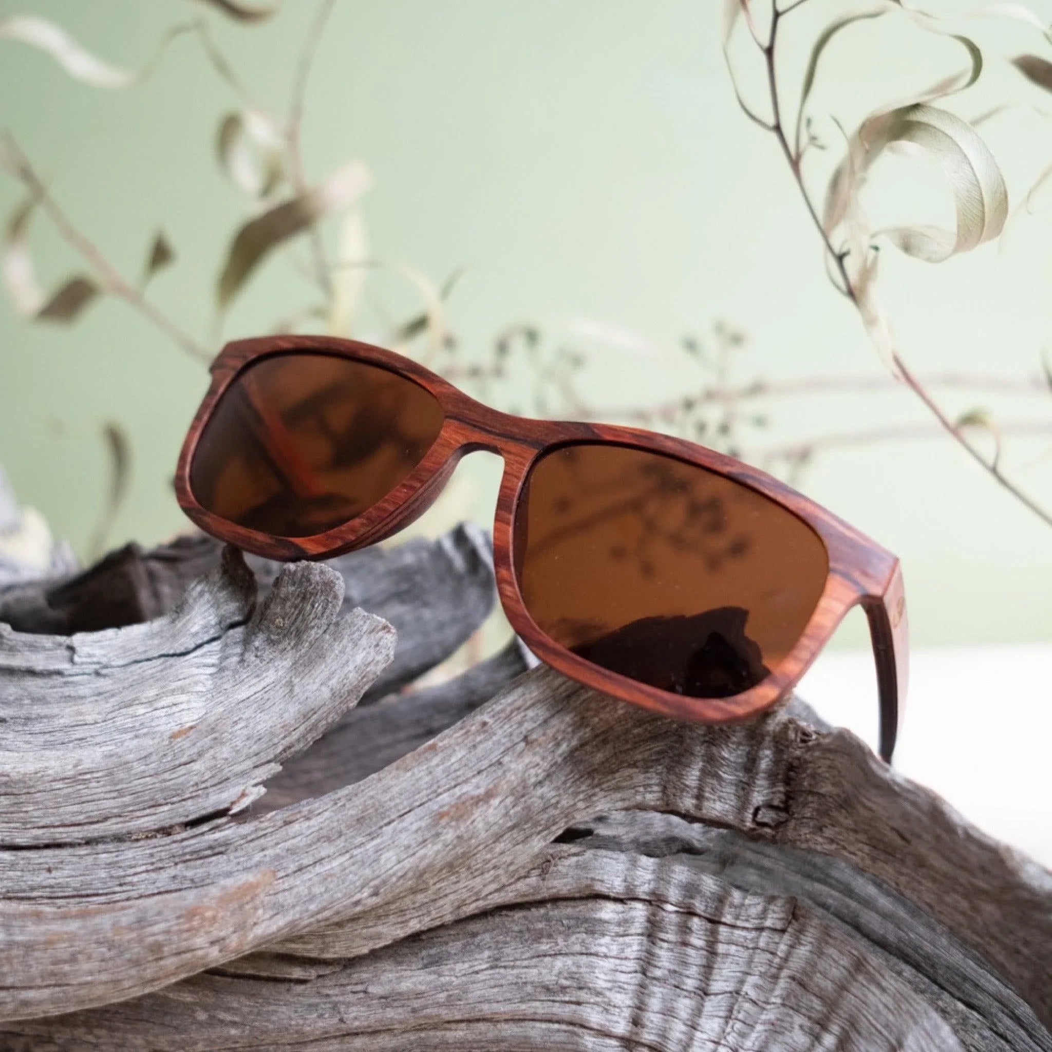 banner-image